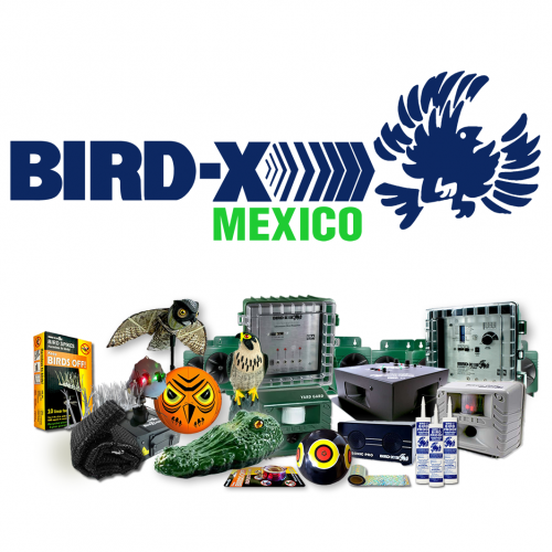 BIRD-X MÉXICO