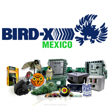 BIRD-X MÉXICO